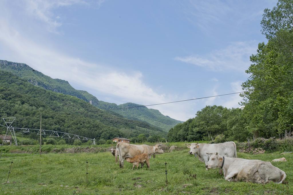 朱内塔斯 Mas El Ferres旅馆 外观 照片