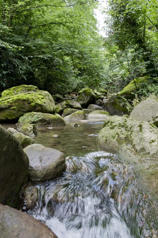 朱内塔斯 Mas El Ferres旅馆 外观 照片
